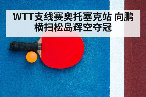 ping pong racket